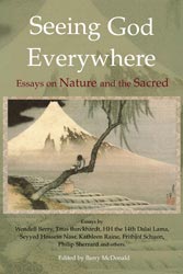 Seeing God Everywhere: Essays on Nature and the Sacred
