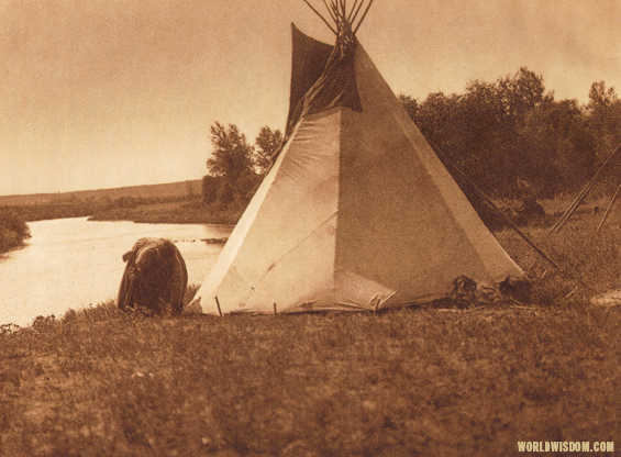"An Assiniboin lodge - Assiniboin", by Edward S. Curtis from The North American Indian Volume 3 