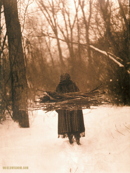 "Wood gatherer - Teton Sioux", by Edward S. Curtis from The North American Indian Volume 3 