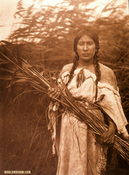 "Rush gatherer" - Arikara, by Edward S. Curtis from The North American Indian Volume 5

