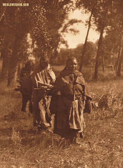 "Wood-gatherers" - Cheyenne, by Edward S. Curtis from The North American Indian Volume 6