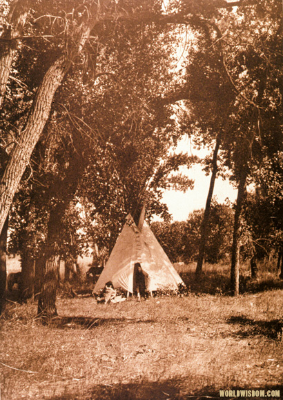 "Camp in the cottonwoods" - Cheyenne, by Edward S. Curtis from The North American Indian Volume 6