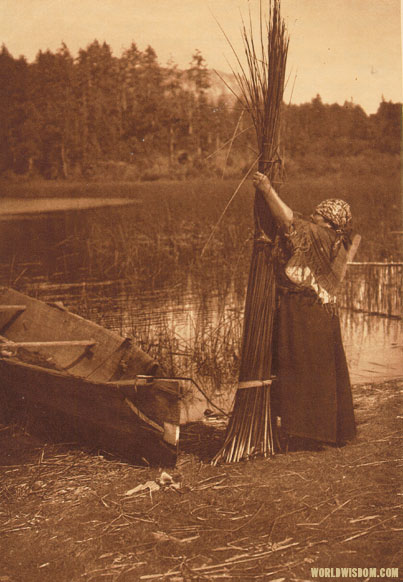 "Tying the bundle" - Cowichan, by Edward S. Curtis from The North American Indian Volume 9

