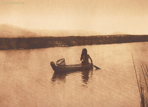 "In the tule swamp - Lake Pomo" - Pomo, by Edward S. Curtis from The North American Indian Volume 14
