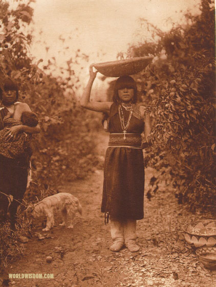 "Peach harvest - San Ildefonso", by Edward S. Curtis from The North American Indian Volume 17
