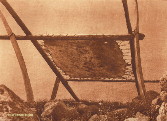 "Drying walrus hide" - Eskimo of Little Diomede Island, by Edward S. Curtis from The North American Indian Volume 20
