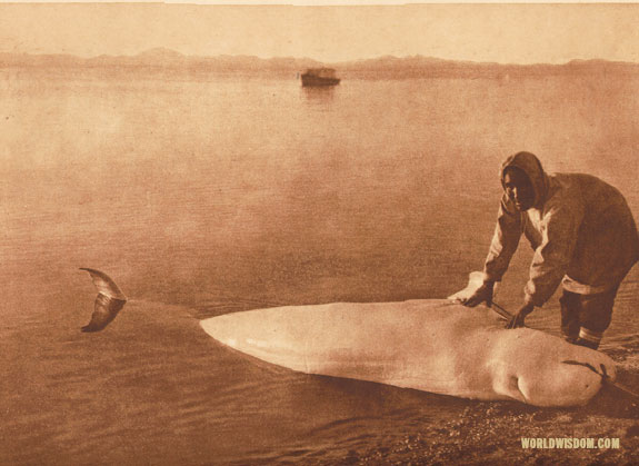 "The beluga" - Kotzebue, by Edward S. Curtis from The North American Indian Volume 20
